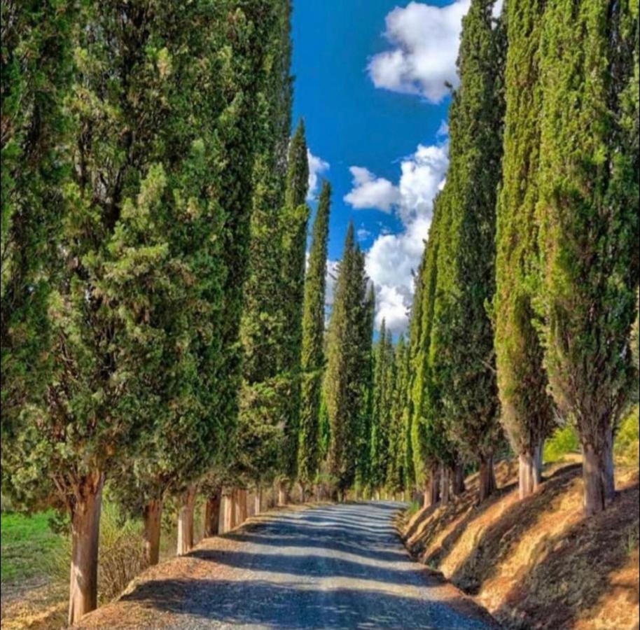 Agriturismo Fattoria Il Piano - Appartamento Lavanda - Сан-Джиминьяно Экстерьер фото