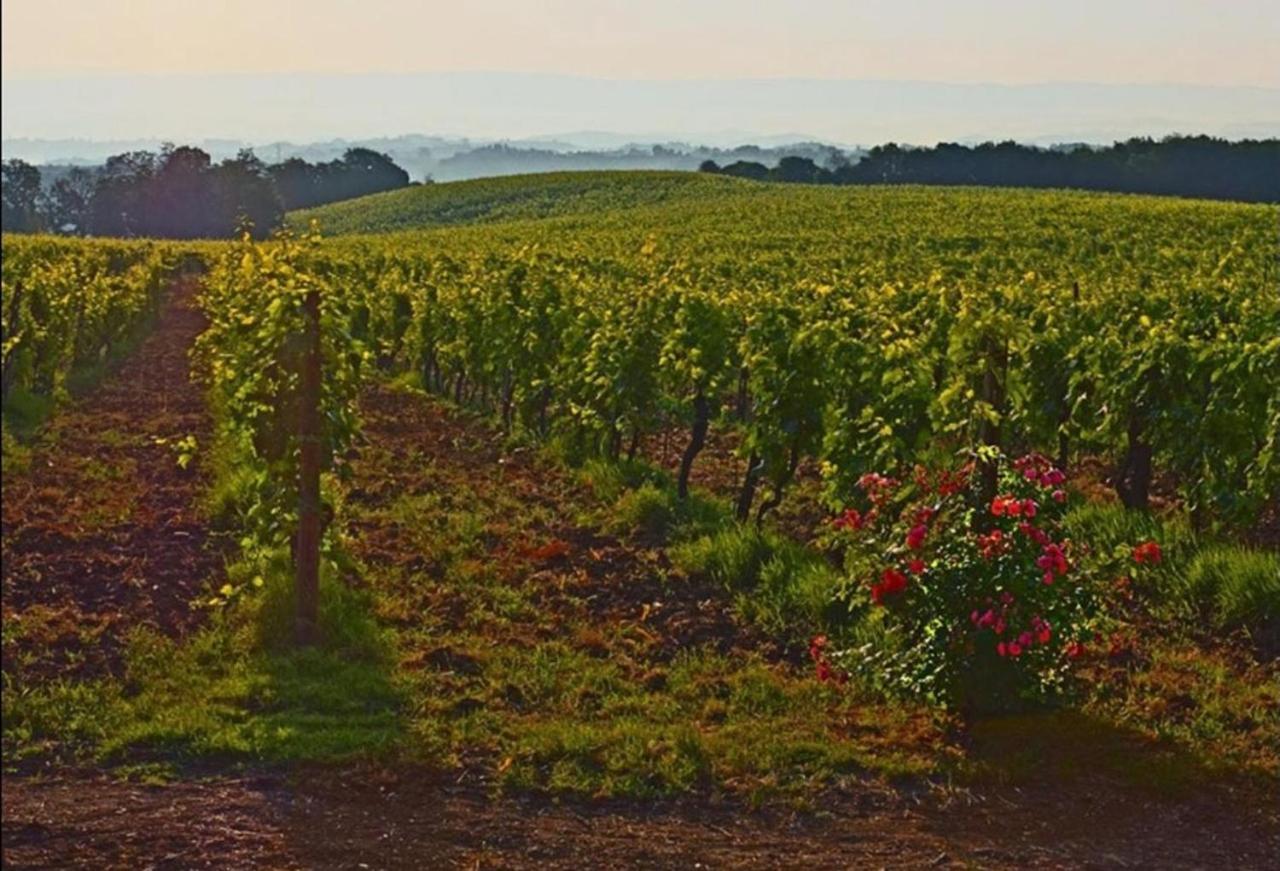 Agriturismo Fattoria Il Piano - Appartamento Lavanda - Сан-Джиминьяно Экстерьер фото