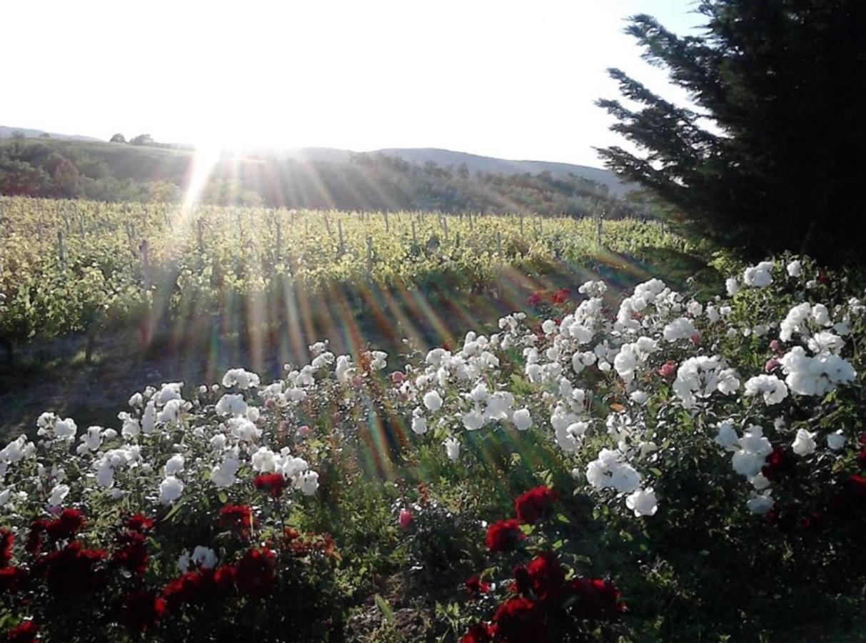 Agriturismo Fattoria Il Piano - Appartamento Lavanda - Сан-Джиминьяно Экстерьер фото